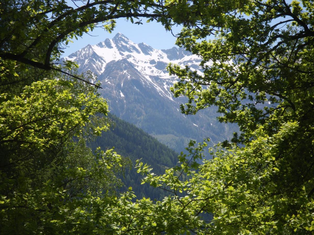Appart Burgwies Ink Nationalpark Sommercard Stuhlfelden Esterno foto